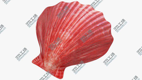 images/goods_img/20210312/3D Seashells Collection V2 model/2.jpg